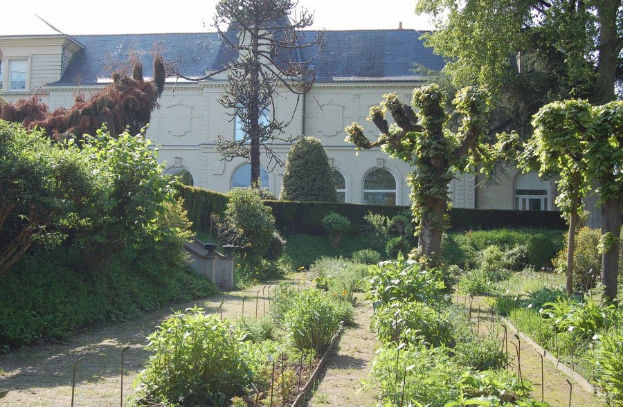 Jardin botanique de la Faculté de Pharmacie d'Angers, Angers, France, France